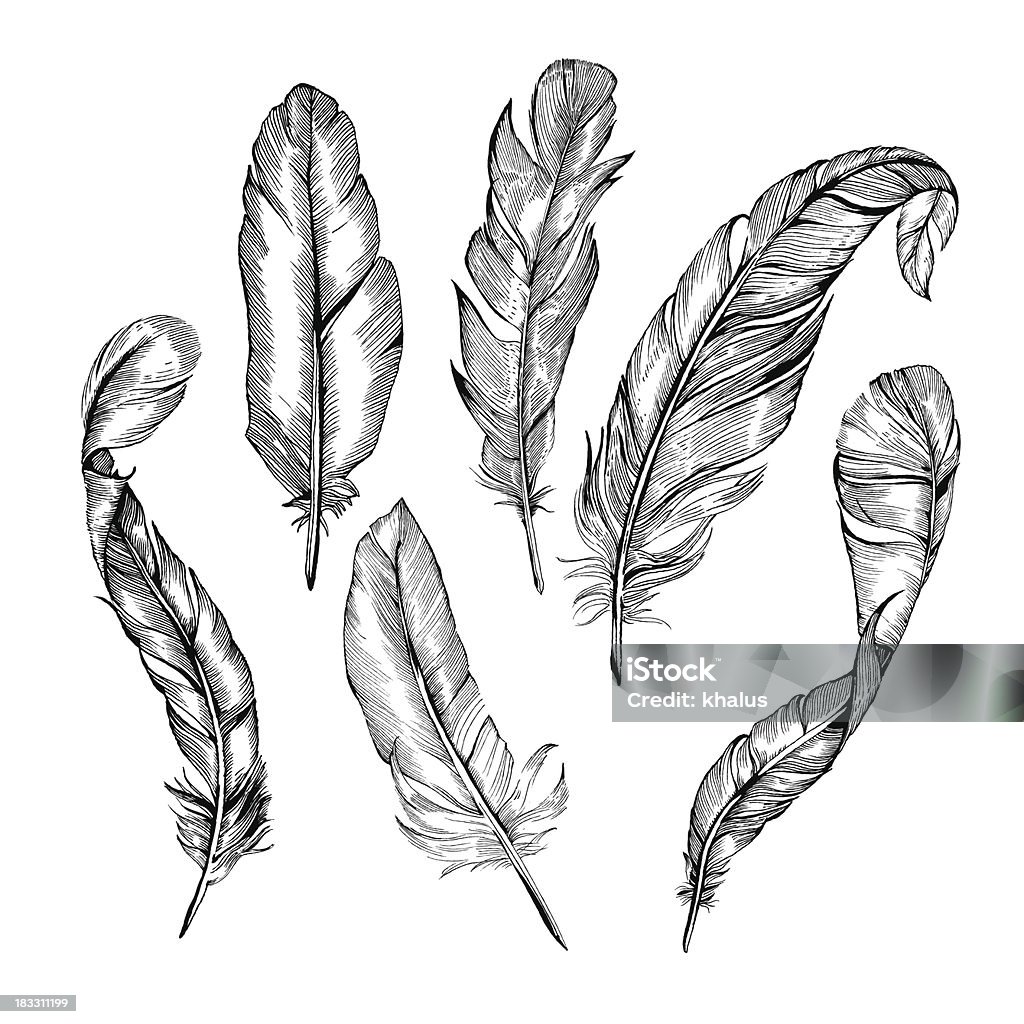 feather set Vector Detailed Hand-Drawn Illustrations of Feathers in Black&White style. Each of the Feathers is isolated object (eps 8). Feather stock vector