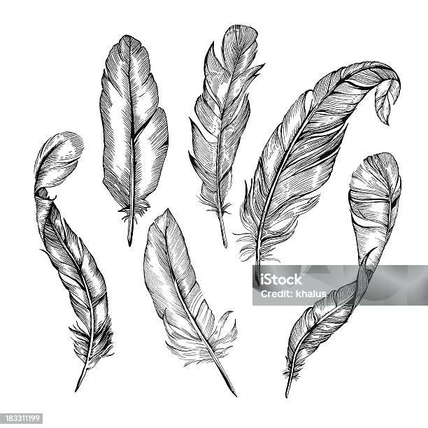 Feather Set Stock Illustration - Download Image Now - Feather, Illustration, Old-fashioned