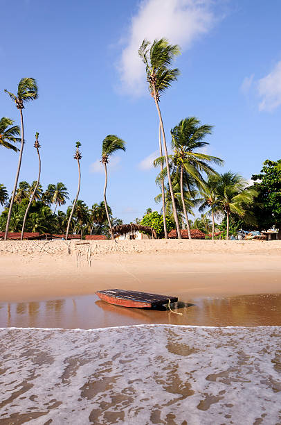 pititinga (rn brasile) insieme sulla spiaggia - scow foto e immagini stock