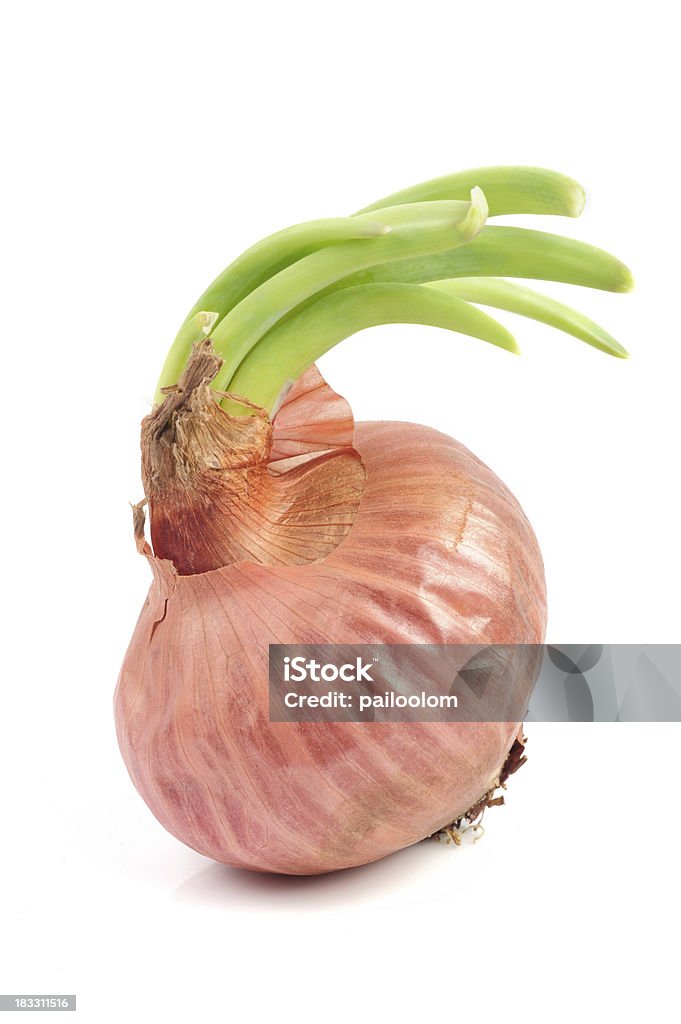 Onion - Lizenzfrei Bildkomposition und Technik Stock-Foto