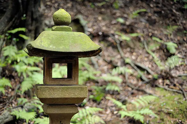 "A stone moss-covered lantern in woodland at the Fushimi Inari Shinto shrine at Kyoto, Japan."