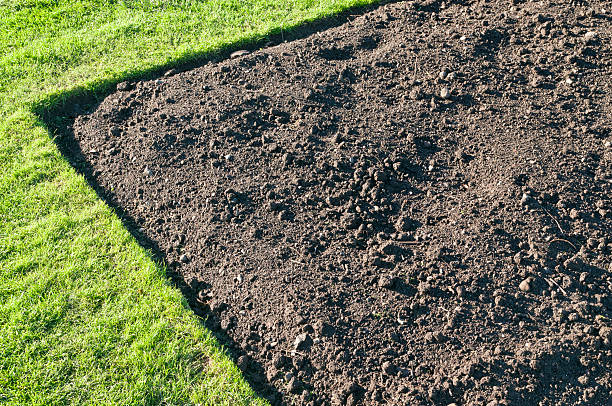 Gardening Soil Simple image of an empty flowerbed surrounded by grass. topsoil stock pictures, royalty-free photos & images