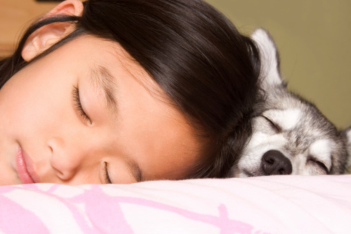 Chinese girl sleeping beside her husky puppy