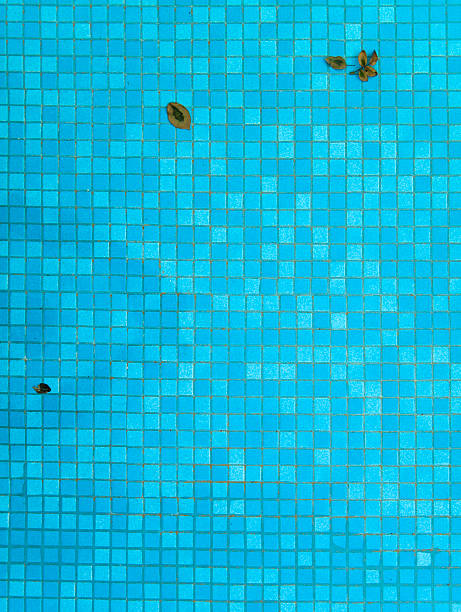 istock Swimming pool. Season is over. Leafs on the bottom. 183313465