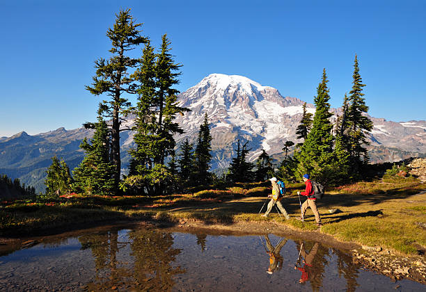 Hiking Mt. Rainier "Two hikers walk by a small pond in Mt. Rainier National Park, Washington State." mt rainier national park stock pictures, royalty-free photos & images