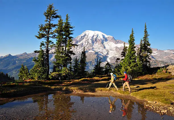 Photo of Hiking Mt. Rainier