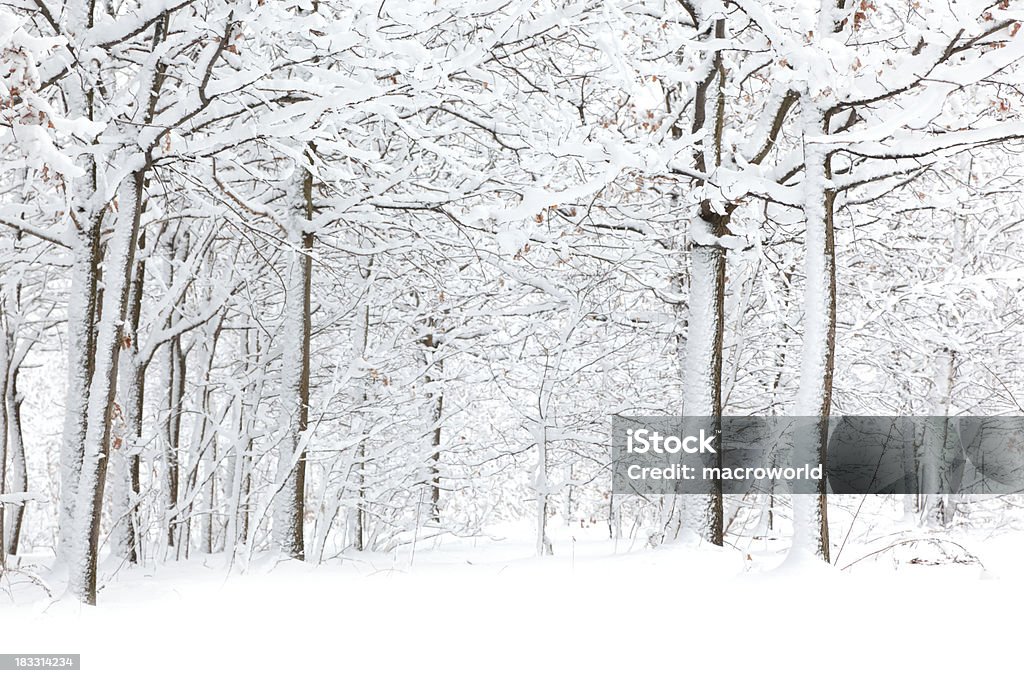 De invierno - Foto de stock de Nieve libre de derechos