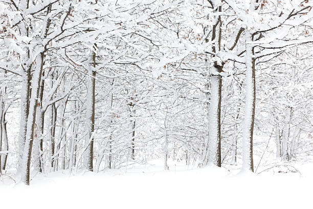 Winter  wintry landscape january december landscape stock pictures, royalty-free photos & images