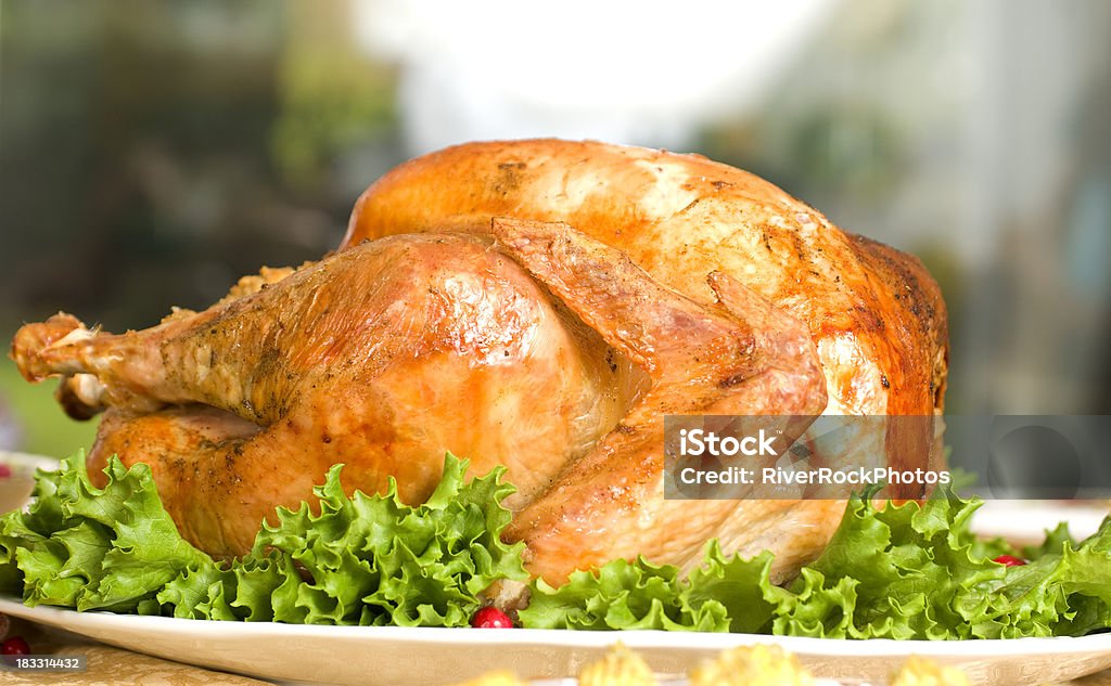 Rosted thanks giving turkey Rosted thanksgiving turkey 2000-2009 Stock Photo
