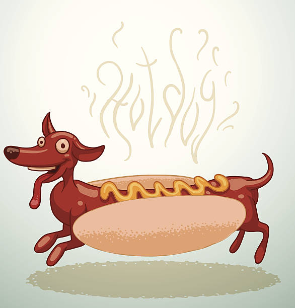 ilustraciones, imágenes clip art, dibujos animados e iconos de stock de perrito caliente divertido - lunch sausage breakfast bratwurst