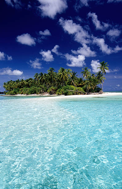 istock Maldives, southern atolls, Island. 183314626