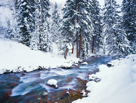 A tourist takes a photo of Mistaya Canyon in Banff National Park, Mistaya River, Alberta, Canada