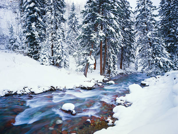 Winter In Colorado Maroon Creek Winds Through The Forest Near Aspen Colorado aspen colorado photos stock pictures, royalty-free photos & images