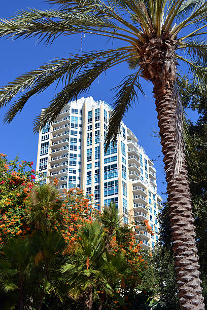 istock Downtown St. Petersburg Florida Luxury Waterfront Condominium 183314837