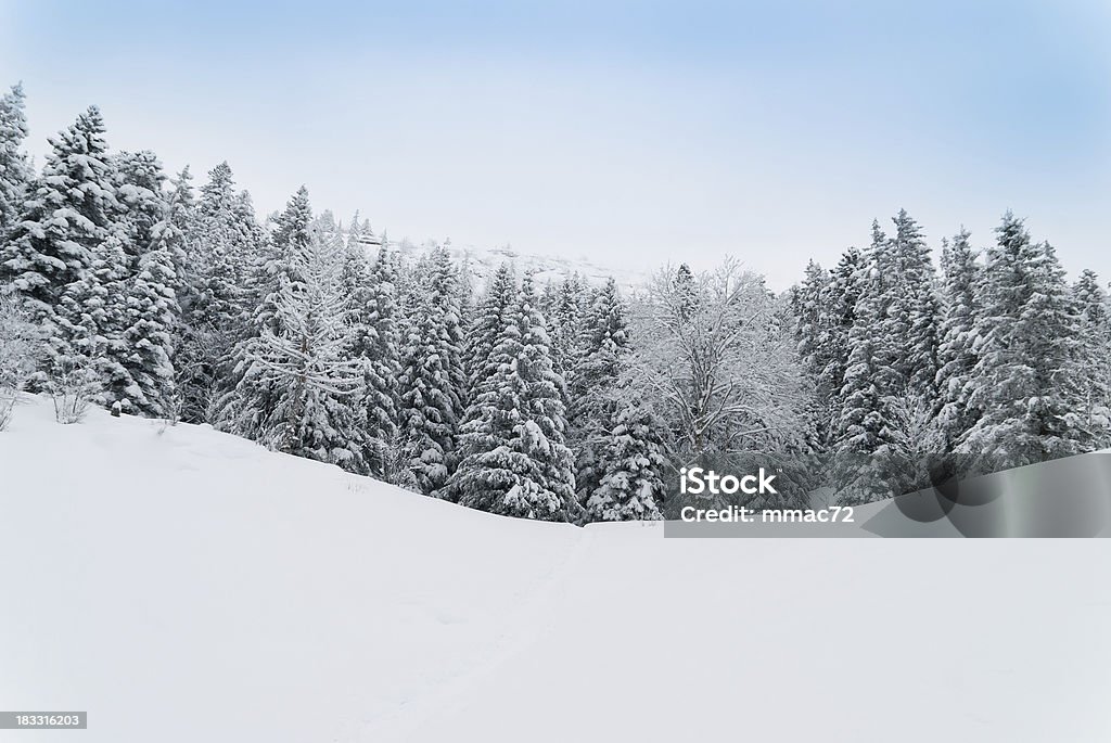 Winter Landscape with Snow and Trees Winter Landscape Arctic Stock Photo