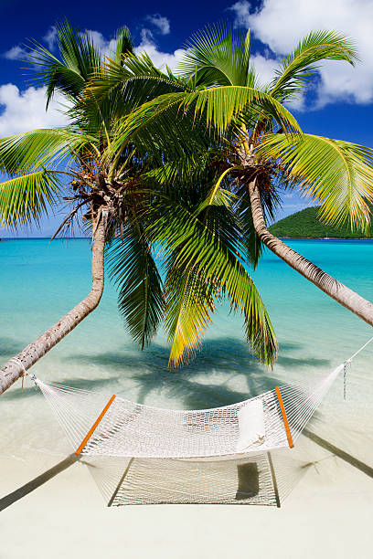 empty hammock between two palm trees at a tropical beach in the Caribbean