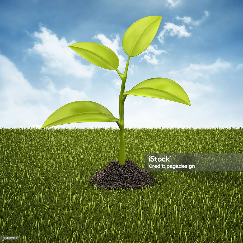 plant in dirt heap  Blue Stock Photo
