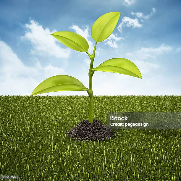Plant In Dirt Heap Stock Photo - Download Image Now - Blue, Cloud - Sky, Digitally Generated Image