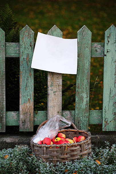 Apples in basket for free. Message posted on fence.