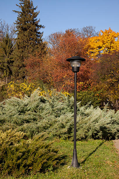 istock Autumn lin a garden 183317056