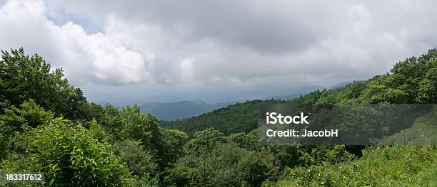 Montañas Blue Ridge Foto de stock y más banco de imágenes de Aire libre - Aire libre, Appalachia, Arbusto