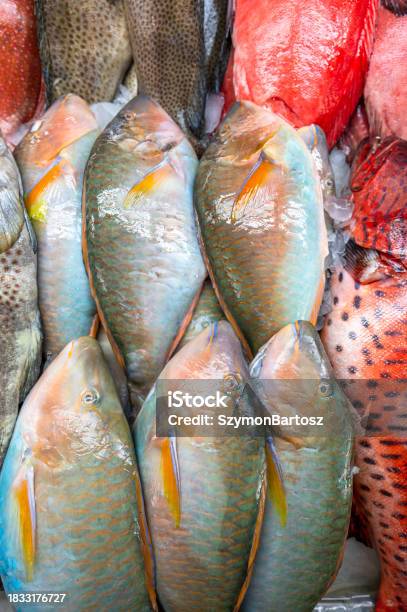 Pesce Colorato In Una Bancarella In Un Mercato Del Pesce A Jeddah Arabia Saudita - Fotografie stock e altre immagini di Affari
