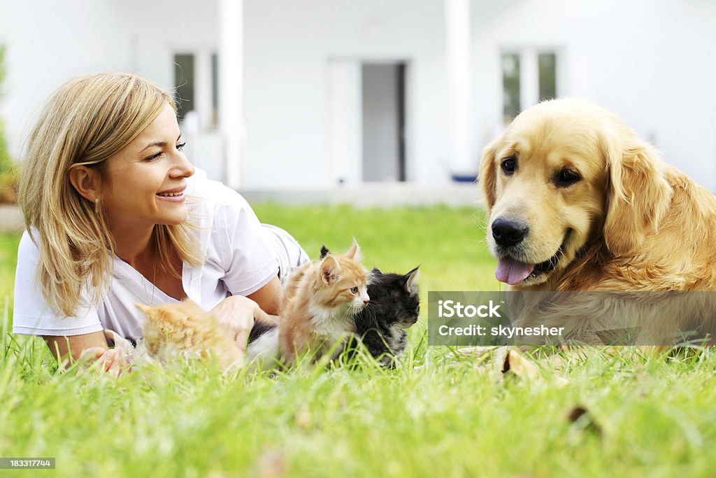 Mujer y mascotas descansar en el jardín verde. - Foto de stock de Gato doméstico libre de derechos