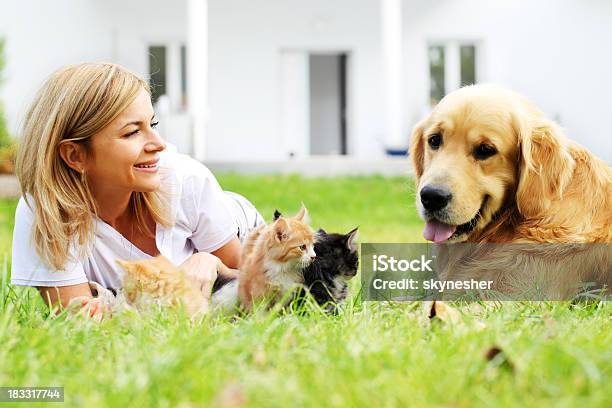 Mujer Y Mascotas Descansar En El Jardín Verde Foto de stock y más banco de imágenes de Gato doméstico - Gato doméstico, Perro, Aire libre