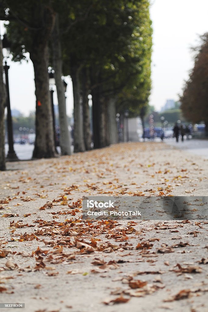 Autumn Leaves in Paris - XLarge "Autumn in Avenue des Champs-Elysees, Paris" Autumn Stock Photo