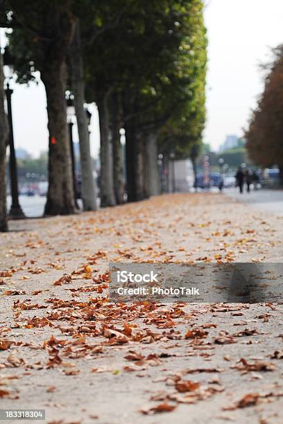 Autumn Leaves In Paris Xlarge Stock Photo - Download Image Now - Autumn, Autumn Leaf Color, Avenue