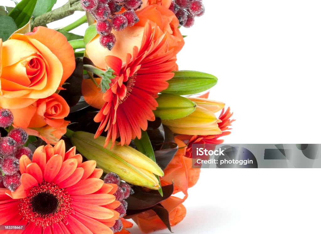 Bunch of Flowers "A studio shot of a bunch of flowers, with warm orange and peach tones.View Full Category:" White Background Stock Photo