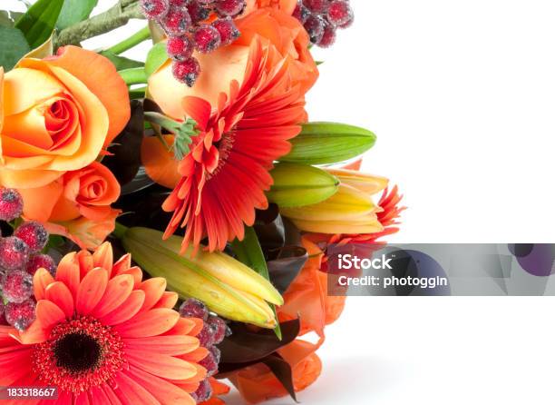 Bunch Of Flowers Stock Photo - Download Image Now - White Background, Bouquet, Flower