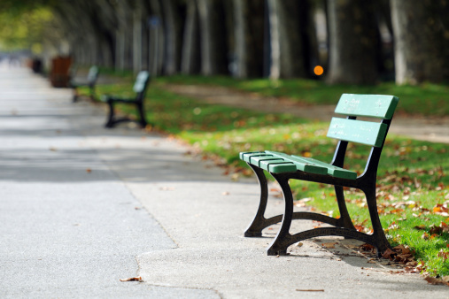 Tranquil Park Bench - XLarge
