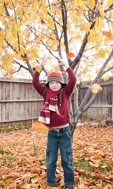 Happy child playing in the leaves stock photo