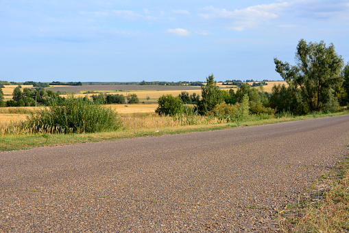 asphalt road with green bushes and yellow fields on background