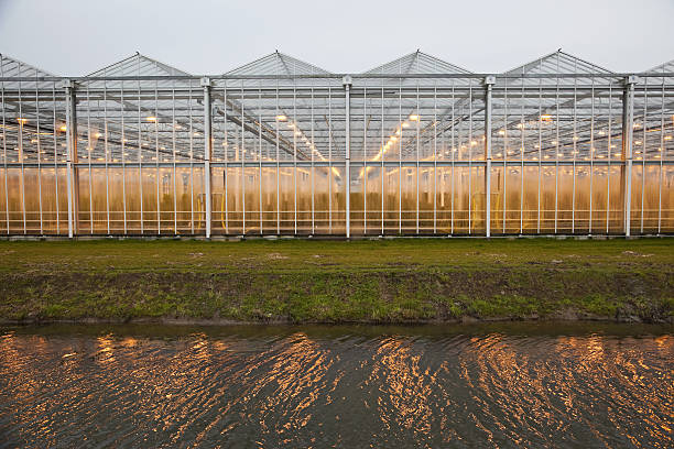 istock Greenhouse # 28 XXXL 183319758