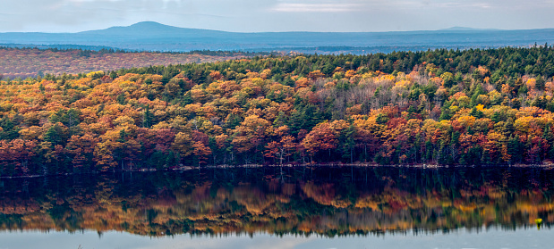 Fall colors have arrived at Acadia National Park, Maine