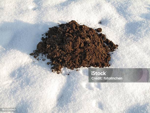 Molehill Im Winter Stockfoto und mehr Bilder von Anhöhe - Anhöhe, Ansicht aus erhöhter Perspektive, Bau