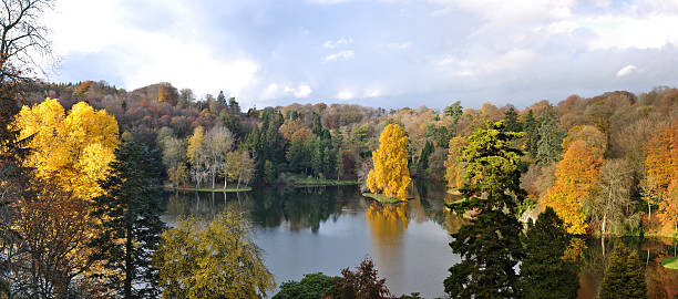 istock Woodland and Lake 183320158