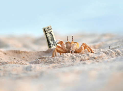 crab running away with money stolen from tourist.. shot in beautiful exotic beach