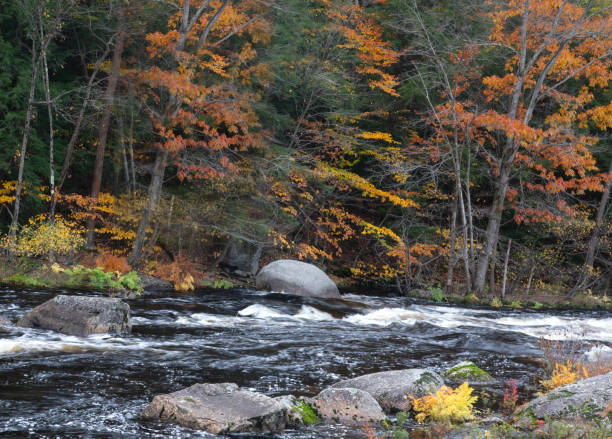 istock New Hampshire Fall Colors 1833203609