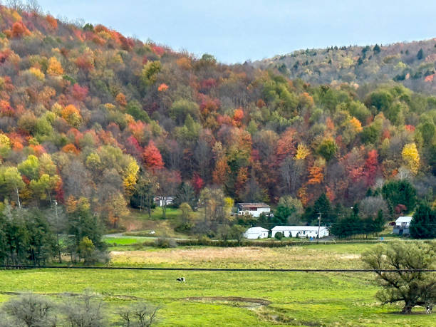 istock Fall In Rural New York 1833204692