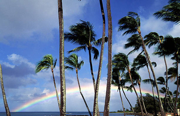 istock USA Hawaii O'ahu, North Shore, Rainbow. 183320794