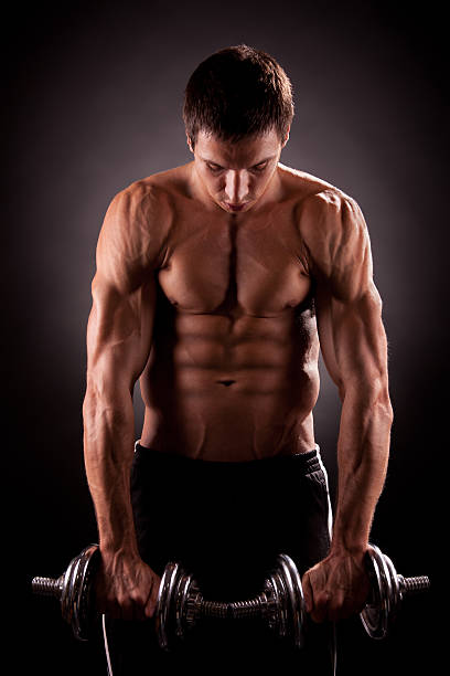 ボディビルディングのトレーニングと筋力 - body building weight training muscular build human muscle ストックフォトと画像