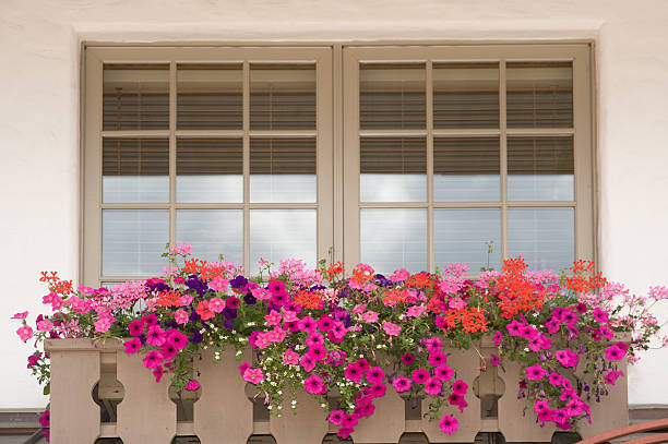 istock Flower Box on European Chalet in Vail 183321471
