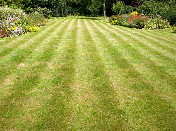 istock A freshly mowed lawn in a big garden 183321705