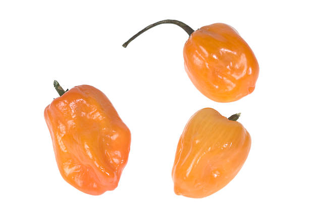istock Three habanero peppers on a white background 183322480