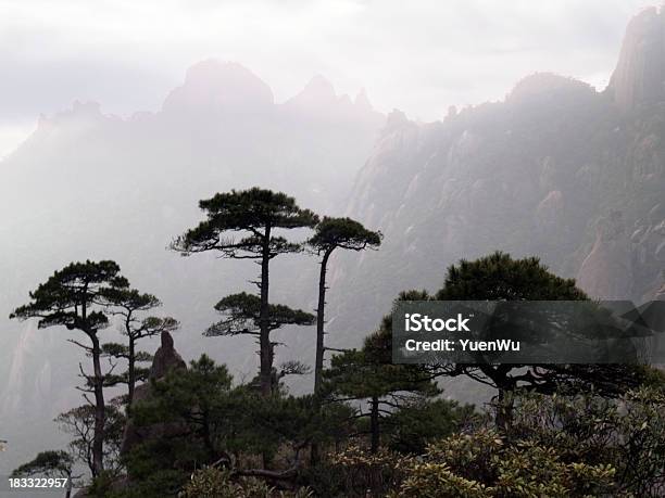 Mglisty Poranek - zdjęcia stockowe i więcej obrazów Drzewo - Drzewo, Azja, Azja Wschodnia