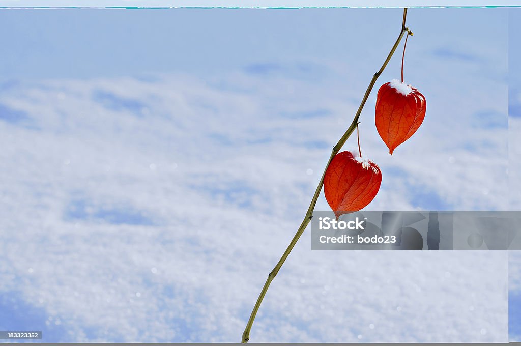 Dois de Copas - Foto de stock de Laranja - Descrição de Cor royalty-free