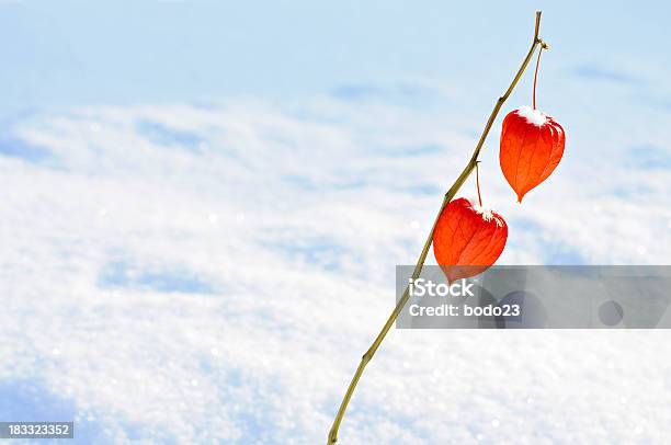 Foto de Dois De Copas e mais fotos de stock de Laranja - Descrição de Cor - Laranja - Descrição de Cor, Neve, Símbolo do Coração